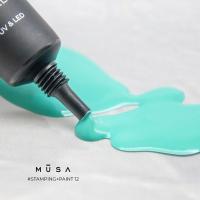 Gel paint 12 1 1